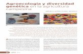 Agroecología y diversidad genética en la agricultura campesinacelia.agroeco.org/wp-content/uploads/2019/10/LEISA352... · 2019-10-16 · Diversidad de papas nativas en los Andes.