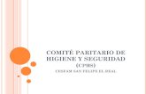 COMITÉ PARITARIO DE HIGIENE Y SEGURIDAD (cphs) · 2017-06-05 · El Comité Paritario de Higiene y Seguridad (CPHS) es un grupo conformado por representantes de la Empresa y de los