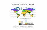 BIOMAS DE LA TIERRA - jcyl.esiesparquesol.centros.educa.jcyl.es/sitio/.../BIOMAS... · BIOMAS DE LA TIERRA PAULA MARTÍN SANDONÍS. EL DESIERTO POLAR LIEBRE ÁRTICA BÚHO NIVAL LOBO