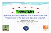 Estudio Socioeconómico de la Población de Pedernales y la …grupojaragua.org.do/documents/Congreso_Biodiv_2011... · 2019-09-10 · Un miembro de Quisqueya muy especial…! La
