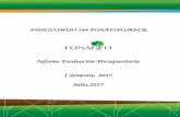 Informe Evaluación Presupuestaria I Semestre, 2017 Julio,2017 · Fideicomiso 544 FONAFIFO/BNCR Informe de Evaluación Presupuestaria I Semestre 2017 4 1. A. Comentarios sobre los