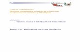 formaciondeseguridad.esformaciondeseguridad.es/NFAVJEH/PP_LOPEZ_BERNAL_MODULO_3… · 2020-03-23 · Curso de Especialización Tema 3.11. Principios de Buen Gobierno TECNOLOGÍAS