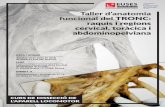 Taller d’anatomia funcional del TRONC: raquis i regions ......Articulacions interaposifàries i la seva anatomia. Estabilitzadors passius de la columna vertebral. Organització muscular