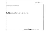 Microbiología › storage › secciones › sociedad › his… · MICROBIOLOGÍA SEM Publicación de la Sociedad Española de Microbiología Consejo Editorial Rubens López, Centro