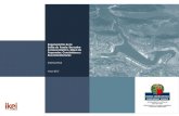Regeneración de la Bahía de Pasaia: Encuadre ... › contenidos › noticia › n_re... · mapa de propuestas, conclusiones y recomendaciones, elaborado por Ikei research & consultancy