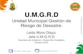 U.M.G.R.D Unidad Municipal Gestión de Riesgo de Desastre. › files › doc_varios › Informe_de... · 2018-11-22 · recursos del Fondo Municipal de Gestión del Riesgo de Desastres