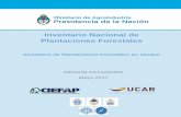 Inventario Nacional de Plantaciones Forestales€¦ · Inventario de Plantaciones Forestales en secano Región Patagonia INTRODUCCIÓN El presente informe corresponde al Inventario