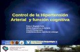 Control de la Hipertensión Arterial y función cognitiva · Enfermedad de Alzheimer Riekse G et al. Effect of Vascular Lesions on Cognition in Alzheimer's Disease: A Community-Based