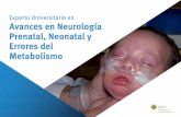 Experto Universitario en Avances en Neurología Prenatal ... · Experto Universitario en Avances en Neurología Prenatal, Neonatal y Errores del Metabolismo Modalidad: Online Duración: