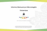 Informe Mensual por Microrregión Diciembrecampeche.inea.gob.mx/archivos/Planeación/Informes... · 2018-02-08 · Plazas Comunitarias Informe Mensual por Microrregión Analfabetas