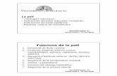Funcions de la pell - Universitat de València › garrigt › pdfs › pell.pdf · Altres 11.0 Dermofarmàcia. 2º quadrimestre. TM Garrigues Dermis i hipoderma 1. Dermis o teixit