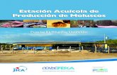 Estación Acuícola de Producción de Moluscos …...Fig. 6 Ciclo de producción de la ostra japonesa en el laboratorio de moluscos de Puerto El Triunfo. Huevo y esperma Huevo fecundado