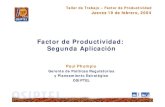 Factor de Productividad: Segunda Aplicación€¦ · Taller de Trabajo – Factor de Productividad Jueves 19 de febrero, 2004 Factor de Productividad: Segunda Aplicación Paul Phumpiu