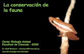 La conservación de la fauna - Facultad de Cienciaszoologia.fcien.edu.uy › teorico › Teorico 03 (Maneyro).pdf · • Amenazas • Estrategias de uso y conservación •Biodiversidad