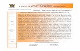 Boletín Mensual Minero Energético › Docs › Boletin › BMME_11_2008.pdf · 2008-12-18 · REPÚBLICA DE COLOMBIA MINISTERIO DE MINAS Y ENERGÍA UNIDAD DE PLANEACIÓN MINERO