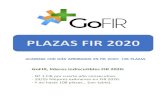 GoFIR, líderes indiscutibles FIR 2020 · ACADEMIA CON MÁS APROBADOS EN FIR 2020: 111 PLAZAS GoFIR, líderes indiscutibles FIR 2020: - Nº 1 FIR por cuarto año consecutivo. - 19/25