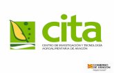 Instalaciones del CITA: Localización · 2017-11-28 · Garcipollera” Bescos de la Garcipollera (Huesca) Finca experimental “El Vedado bajo del Horno” Zuera (Zaragoza) Finca