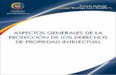 ASPECTOS GENERALES DE LA PROTECCIÓN · El Módulo sobre Aspectos Generales de la Protección de los Derechos de Propiedad Intelectual que se presenta a continuación, responde a