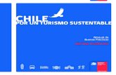 SECTOR TURÍSTICO CHILE - Ruta-B€¦ · EL TURISMO EN CIFRAS AREAS SILVESTRES PROTEGIDAS 3,23% Aporte del turismo al PIB4 2.771.053 ... de hectáreas protegidas públicas10 1,6 millones