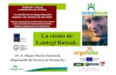 La visión de Lantegi Batuak. · Investigación sobre el envejecimiento y deterioro de las personas con discapacidad intelectual en el ámbito ocupacional y del empleo en Bizkaia