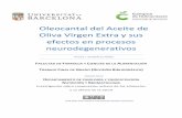 Oleocantal del Aceite de Oliva Virgen Extra y sus efectos ...diposit.ub.edu/dspace/bitstream/2445/150979/1/TFG... · obesidad y enfermedades neurodegenerativas (2). Estas enfermedades