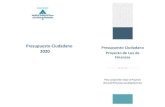 Presupuesto Ciudadano Proyecto de Ley de Finanzas › Publication › db › 2020 › Presupuesto … · Proyecto de Ley de Finanzas 2020 resaltando, de manera sintética y simplificada,