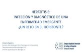 HEPATITIS E: INFECCIÓN Y DIAGNÓSTICO DE UNA ENFERMEDAD ... · La hepatitis E es una enfermedad infecciosa, causada por el VHE, que presenta una alta prevalencia e incidencia y que