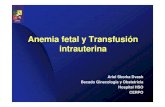 anemia fetal cerpo · • La enfermedad hemolítica perinatal (EHP) es causada por incompatibilidad sanguínea materno fetal y puede afectar en diferentes grados al feto y al recién