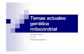 Temas actuales: genética mitocondrialwebdiis.unizar.es › asignaturas › Bio › wp-content › uploads › ...Herenciay enfermedades mitocondriales Más de 100 reordenamientosy