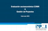 Evaluación socioeconómica CONIN Gestión de Proyectospablolledo.com/content/conferencias/conin2011_2_lledo.pdf · Evaluación socio-económica CONIN 1997 Evaluación socio-económica