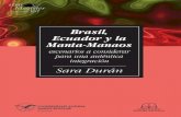 Brasil, Ecuador y la Manta-Manaosrepositorio.uasb.edu.ec/bitstream/10644/4030/1... · 2. El nuevo regionalismo latinoamericano es entendido como una estrategia de integración para