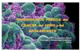DIAGN ÓSTICO PRECOZ del CÁNCER del NI ÑO y del ADOLESCENTE · SNS Retinoblastomas Renales 23.977 Casos RETI. 0-14 años. 1980-2014. Distribución por grupos de edad y diagnóstico.
