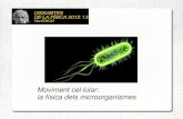 Moviment cel·lular: la física dels microorganismes › dcampos › sites › pagines.uab.cat.dcampos … · La cèl·lula com a objectiu de la física (I) 1) Les propietats reològiques