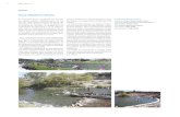 Paseo ribereño río Huascocalle Chañar, Vallenar, Chile Cliente Municipalidad de Vallenar Año proyecto 1993-2008 Año construcción 1994-2009. ... la estructura de la mancha —su