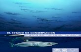 EL ESTADO DE CONSERVACIÓN DE LOS TIBURONES MIGRATORIOS · amenazadas de tiburones migratorios y posiblemente migratorios identificados en este estudio, o el 15% de los tiburones