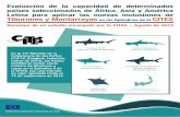 Evaluación de la capacidad de determinados países ... - CITES Leaflet_S.pdf · número de tiburones y rayas en el Apéndice II de la CITES, con una entrada en vigor aplazada hasta