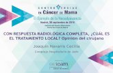 Complejo Hospitalario de Jaén - GEICAM · Parece ser más eficaz en tumores triple negativo, RH+/HER2+ y tumores de alto grado. ... 3 rRC y Respuesta anatomopatológica de Miller-Payne