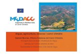 Aigua, agricultura, boscos i canvi climàticmedacc-life.eu › sites › medacc-life.eu › files › docuemnts › ix... · 2016-09-12 · Aigua, agricultura, boscos i canvi climàtic