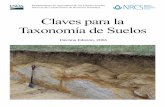 Claves para la Taxonomía de Suelos · 2016-02-04 · Suelos publicada en el año 1975, para incluir a los suelos de las áreas de la Antártica dónde la pedogénesis ocurre pero