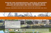 Estudi del metabolisme i del flux energètic de les …0 Estudi del metabolisme i del flux energètic de les instal·lacions dels hàbitats de la secció de primats del Zoo de Barcelona.