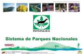 Instituto Nacional de Parques- Dirección Regional Laramusguito.net.ve/anapro/Sistema_Nacional_Parques/Sistema_Nacion… · Instituto Nacional de Parques- Dirección Regional Lara.