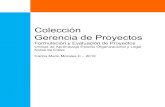 Colección Gerencia de Proyectos - UNID › dts_cursos_mdl › pos › AN › ... · Gerencia de Proyectos Formulación y Evaluación de Proyectos Unidad de Aprendizaje Estudio Organizacional