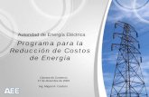 Programa para la Reducción de Costos de EnergíaPrograma para la Reducción de Costos de Energía Autoridad de Energía Eléctrica Cámara de Comercio. 17 de diciembre de 2009. Ing.