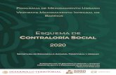 2020 - mimexicolate.gob.mx · el Esquema, los Programas Anuales de Trabajo de Contraloría Social y la Guía Operativa con sus Formatos de Trabajo (Anexos). b) Las Instancias Solicitantes,