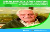 GUÍA DE PRÁCTICA CLÍNICA NACIONAL - Salud Jujuysalud.jujuy.gob.ar/wp-content/uploads/sites/14/2020/01/... · 2020-01-02 · La presente Guía ha recibido el aval de las siguientes