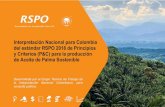Interpretación Nacional para Colombia del estándar RSPO ...web.fedepalma.org/sites/default/files/files... · Anexo 6: Marco legal colombiano 161 Anexo 7: Modelos de contratación