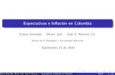 Expectativas e In⁄ación en Colombia · rw (1.102) (0.906) 0.488 0.110 0.427 0.090 1.000 Evaluación de pronósticos a un mes (2008 2009) Eliana GonzÆlez, Munir Jalil, JosØ V.