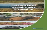 Os hábitats de Interese Comunitario en Galicia. …...mariñas durante a baixamar, desprovistas de vexetación vascular, a miúdo cubertas por algas azuis e diatomeas. Trátase de