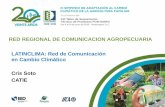 RED REGIONAL DE COMUNICACION AGROPECUARIA … › wp-content › uploads › 2018 › 06 › ... · 2018-06-20 · Cris Soto CATIE. Antecedentes • Fue creada en abril de 2015 •