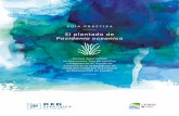 Guia plantado de Posidonia oceanica - ree.es › ... › Guia-plantado-posidonia-oceanica-nov_0.pdf · Posidonia oceanica cuenta con rizomas lignificados de crecimiento horizontal